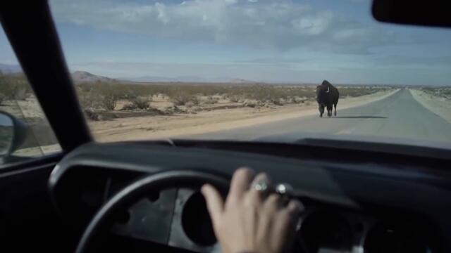 Ethan & The Reformation - Hollandia