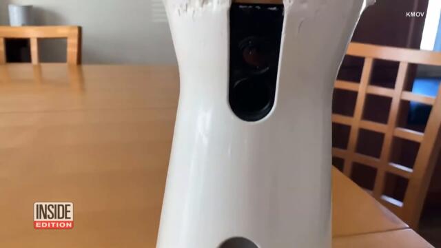 Woman Freaks Out After Hearing Voice Coming Through Her Furbo