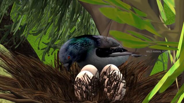 कबूतर का अंडा - Pigeon Eggs कहनिया Hindi Kahaniya - Panchatantra Stories - 3D Hindi Kahani