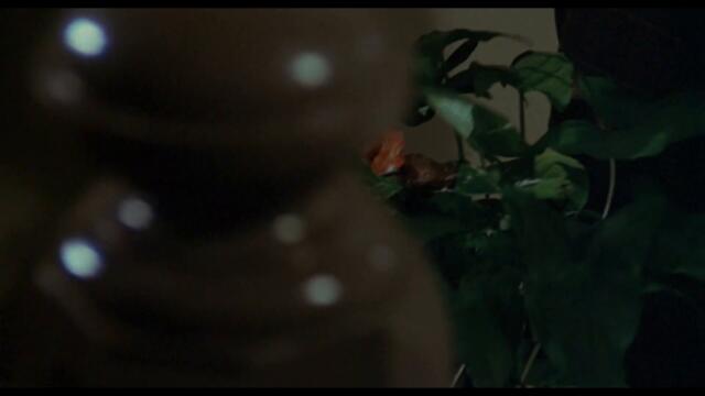 INVASION OF THE BODY SNATCHERS | It's a Monsters | MGM Studios