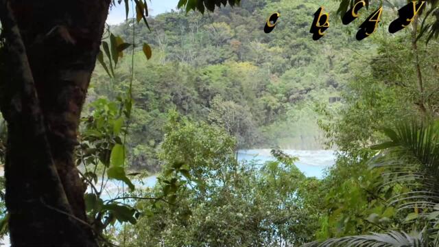 Νίκος Βέρτης - Θα Σ' Αγαπούσα - щях да те обичам