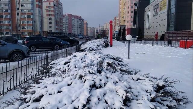 Добрый Вечер! Ион Суручану💥ЛЕБЕДИ ЛЕТЯТ