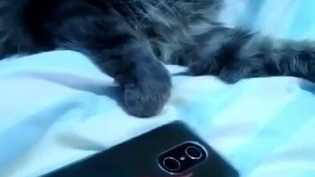 Вече и аз съм фен ха ха