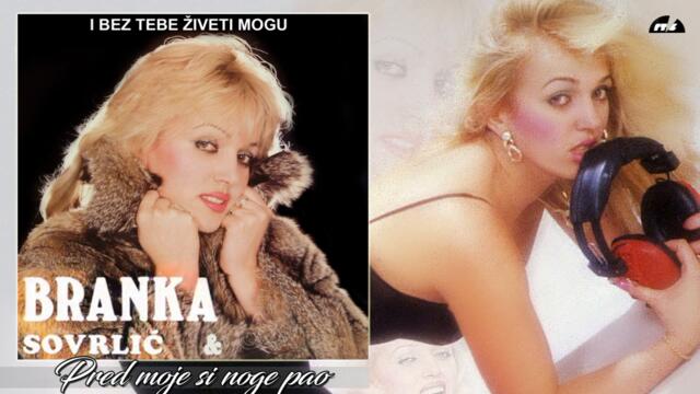 Branka Sovrlic - Pred moje si noge pao - (Audio 1987) HD