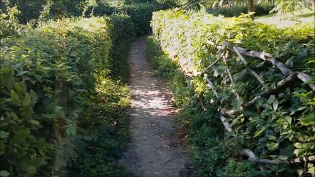 Стелла Джанни💥ТАКОЙ ЧУЖОЙ ТАКОЙ ЖЕЛАННЫЙ