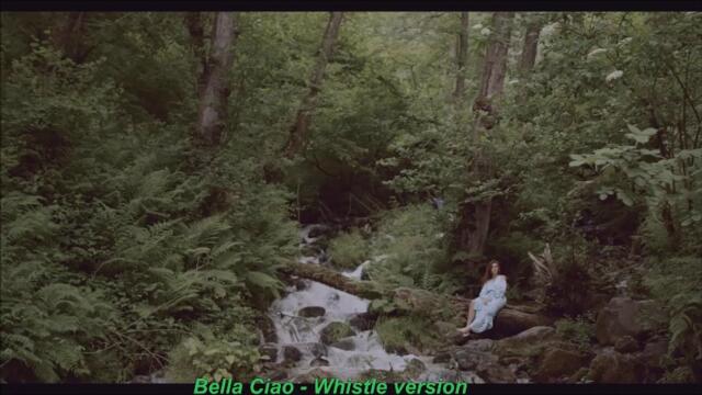 Bella Ciao - Instrumental ( Whistle version)