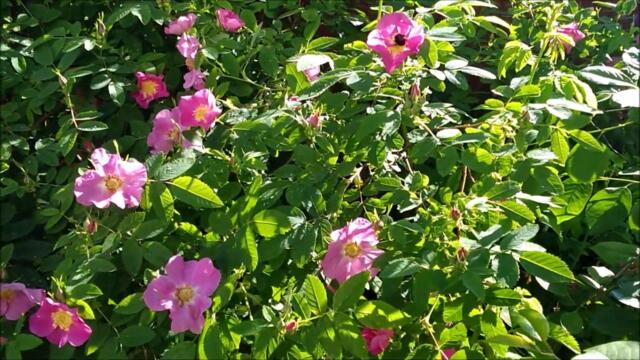 Григорий Рубцов🕚👒ПРОШЛОГОДНИЕ ГЛАЗА