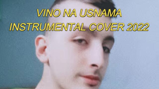 VINO NA USNAMA INSTRUMENTAL COVER 2022