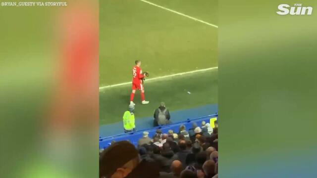 Moment cat invades football pitch at Hillsborough Stadium