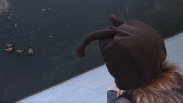 LIA LIA  -  I'm a Moth!!