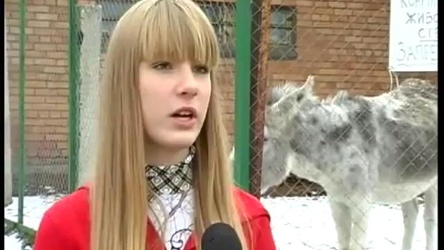 Магаре прекъсва интервю