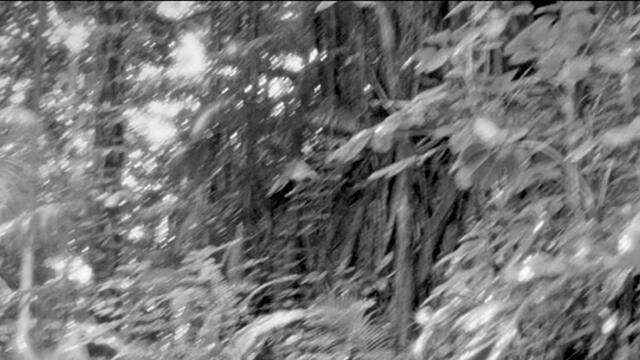 Все още знам какво направи миналото лято  I Still Know What You Did Last Summer (1998) Бг Аудио Част 1