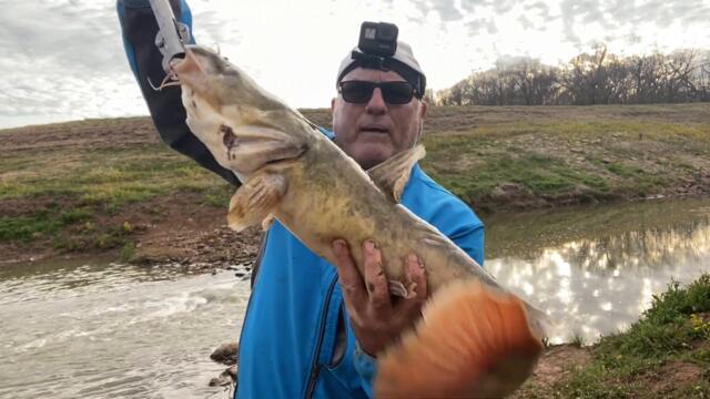 Nothing but Flatheads and Elvis with Remix Mr  Brightside