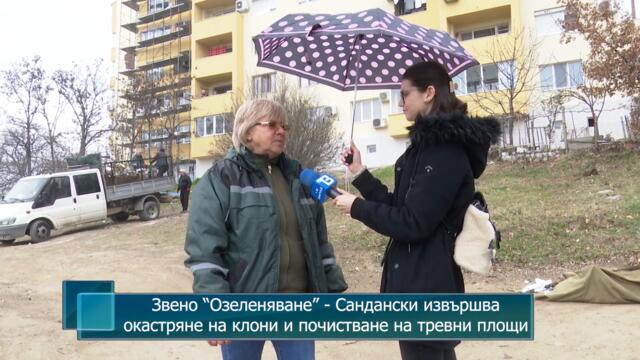 Звено “Озеленяване” - Сандански извършва окастряне на клони и почистване на тревни площи