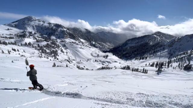 Snowbird Black Hawk Helicopter Crash