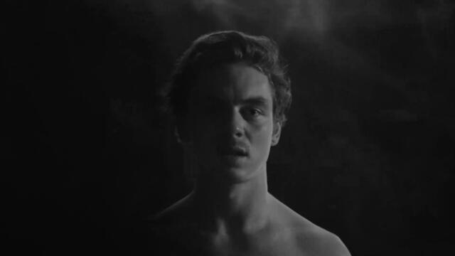 BEAR THE ANT - Higher Times (Official Music Video)