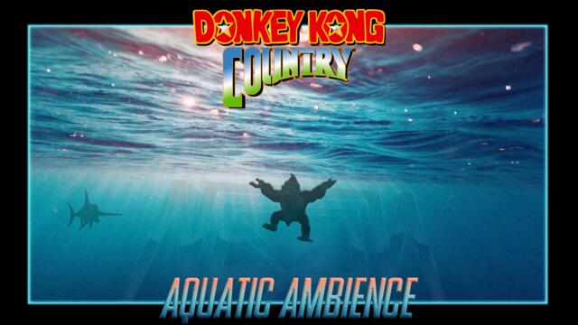 Donkey Kong Country - Aquatic Ambience (Neon X remix)