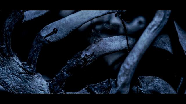 ABSENT IN BODY - Rise From Ruins (Official Audio)