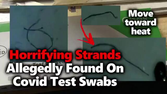 Ето какво откриха в клечки за тестове, за Ковид - ANONYMOUS BULGARIA