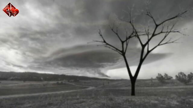 Brandon Stone - Ветер перемен