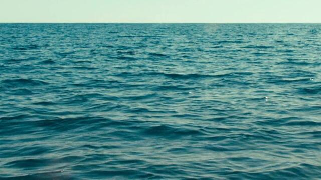 Швейцарско войниче Swiss Army Man (2016) Бг Аудио Част 1