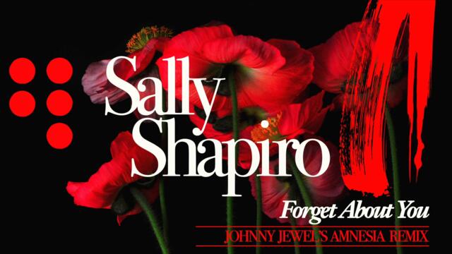 SALLY SHAPIRO "FORGET ABOUT YOU (JOHNNY JEWEL'S AMNESIA REMIX)" (Single)