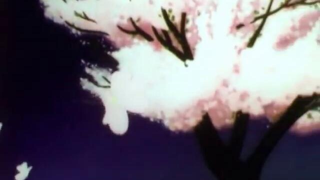 The Story Of Menstruation (1946)