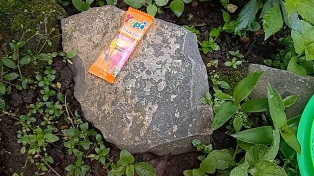 Seru, panen banyak permen yupi permen lolipop tayo Mickey mouse ice cream marshmallow Doraemon