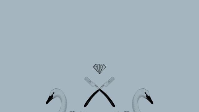 Saturnining (The Field Remix)