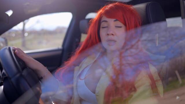 ВИДОВЕ ШОФЬОРИ