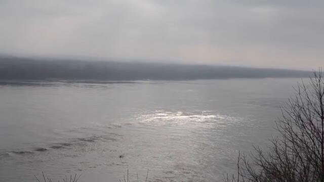 The Consequences Of Disarming America : The Trail Of Tears