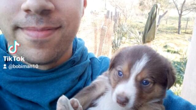 d972a6d01003ef39f8815063aaa09594