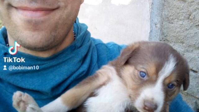 d50101ed4a0323b3894c7deaefd00048