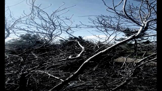 Cyanide Reads: Do Not Forget to Breathe by u/nocturnalnanny