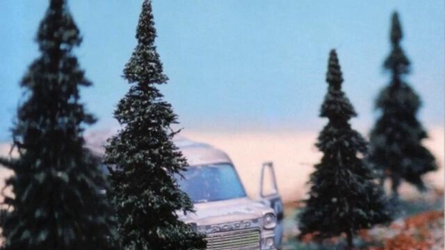 They're Yellow And So Are Mine