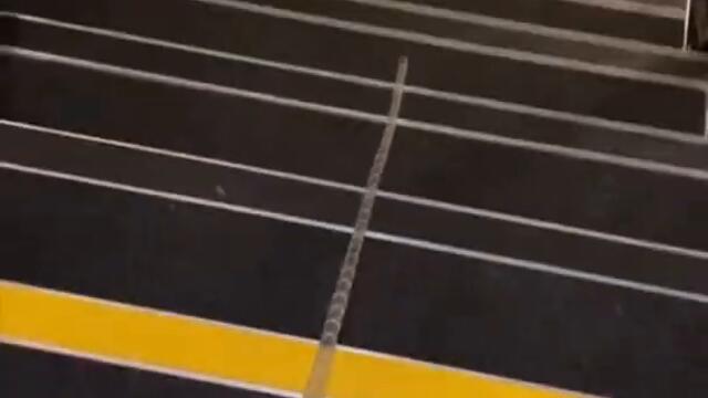 Популярное из Тик Ток: удивительная реальность (47 часть)