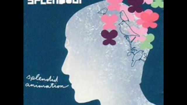 Tetra Splendour - E.T.A