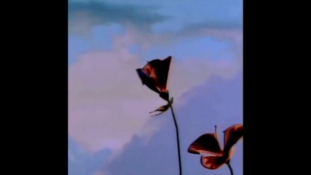 Vwave - Rare Vietnamese New Wave 1980s