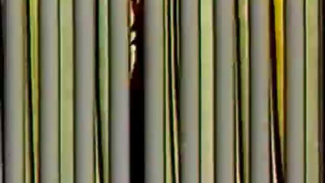 Jetlag (concrete mix) 1987 Severed Heads