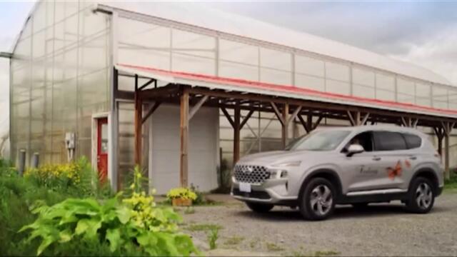 Пролетно вълшебство Feeling Butterflies (2022)  Бг Аудио Част 1