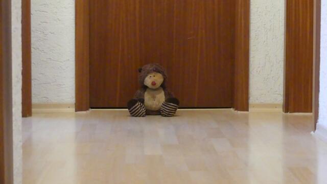 Skyclad Beneath The Fur - Thinking Allowed ("cover")