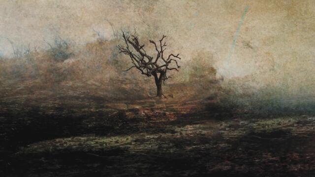 RIVERSIDE - River Down Below (Album Track)