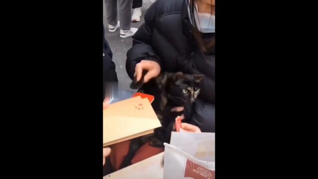 Best of the Week - Лучшее за Неделю #38 Самые смешные видео, фейлы и лучшие приколы тикток 2022