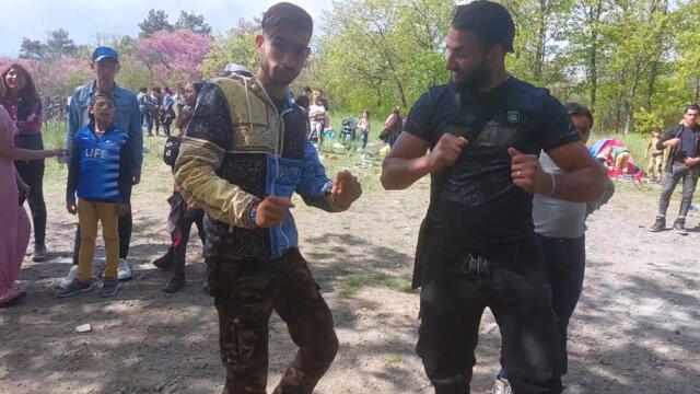 нашата златната горичка