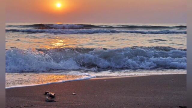 Антоан Антонов  Песен за Кати + НА НА НА Кати