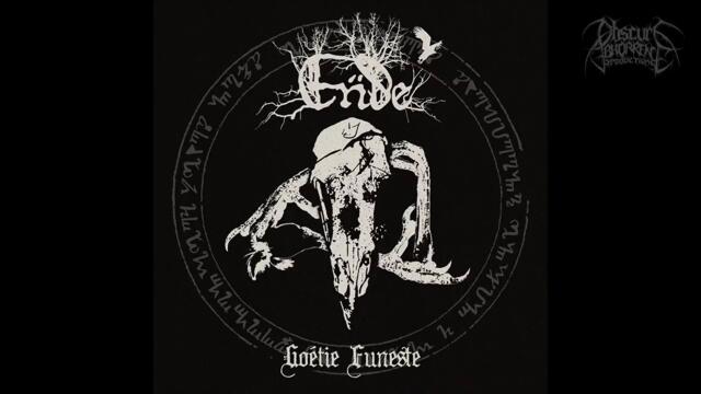 Ende - In Bones (Official Track Premiere)