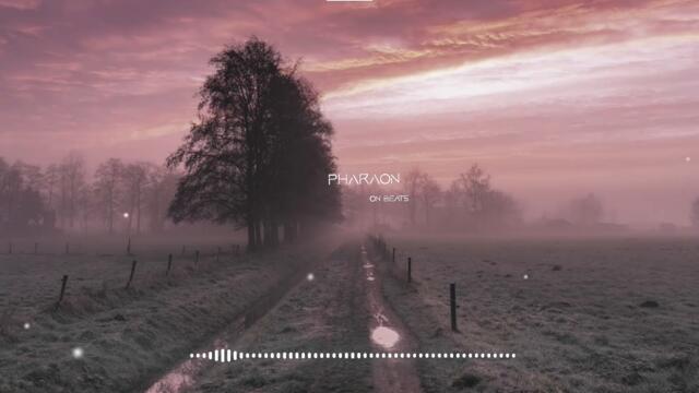 Xcho - Береги мою любовь | remix