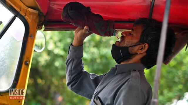 Birds Fall From the Sky in India Because of Heatwave