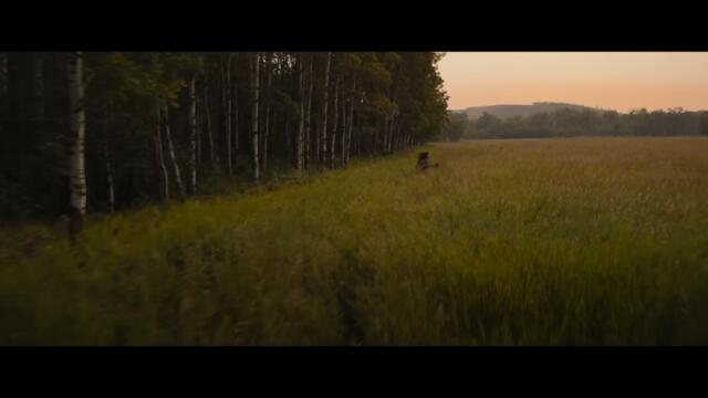 Prey | 20th Century Studios | Hulu