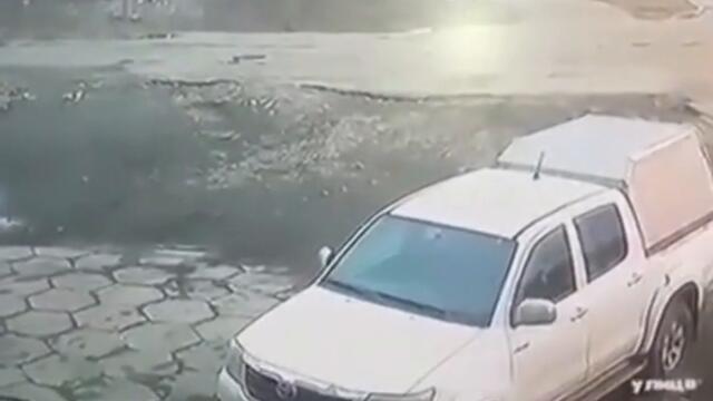 В Магадане на видео попал гуляющий по улицам медведь